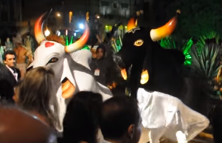 Caprichoso e Garantido 2