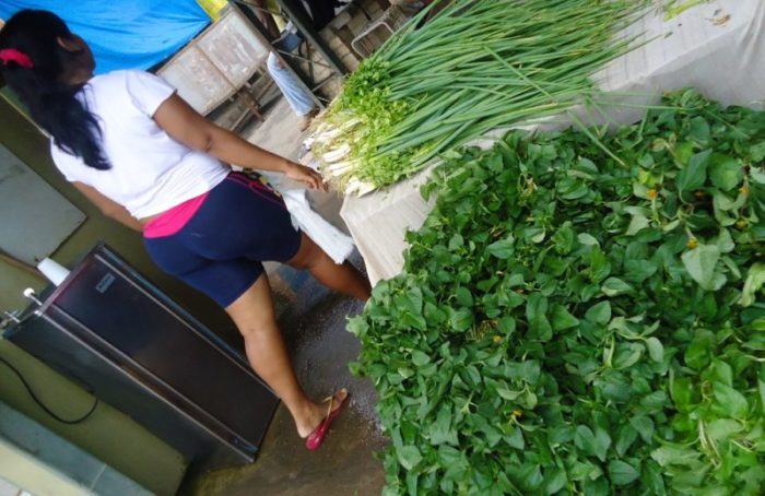 Jambu