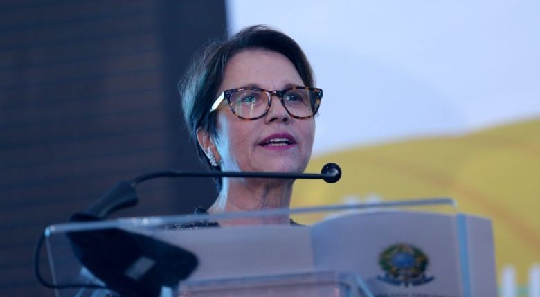 Ministra da Agricultura defende 'zerar' o desmatamento na Amazônia