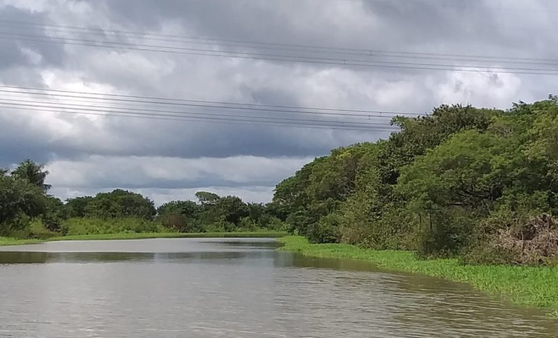 Licença