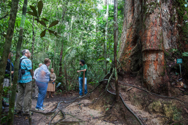 natureza polonês