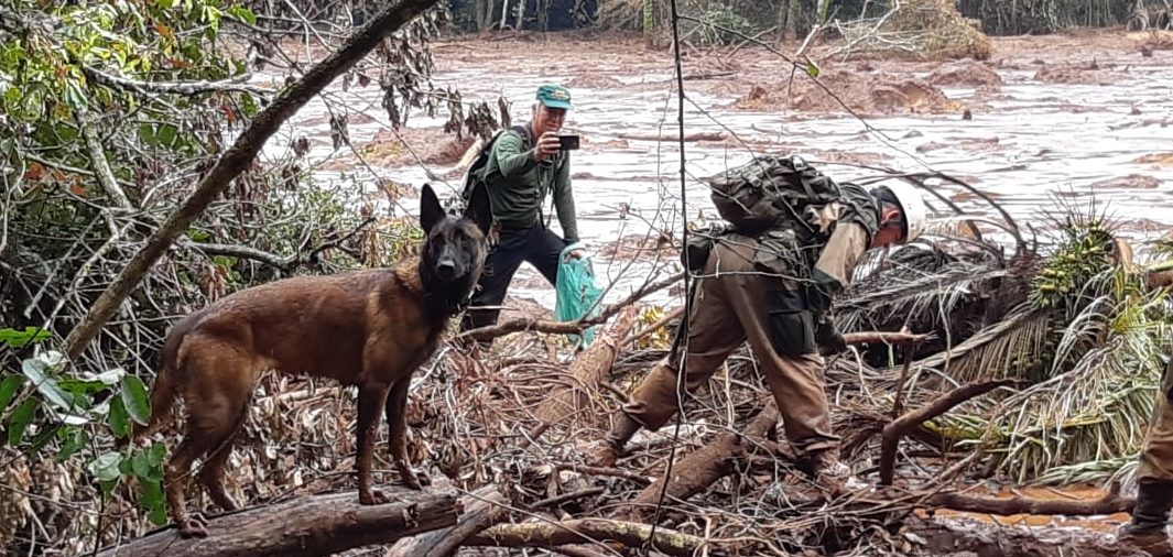 Amazonenses Brumadinho