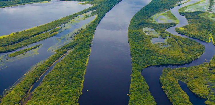 Governo alemão Fundo Amazônia