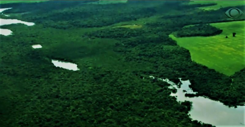 Amazônia
