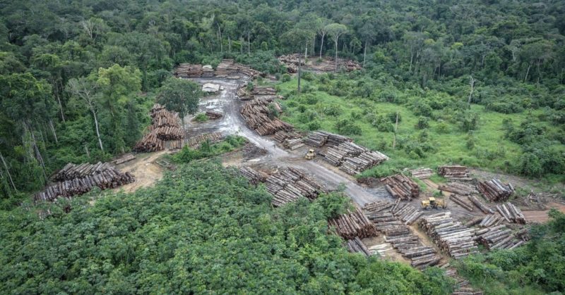 Alertas de desmatamento alcançam números históricos no trimestre