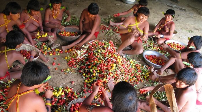 Povos isolados Amazônia yanomâmi