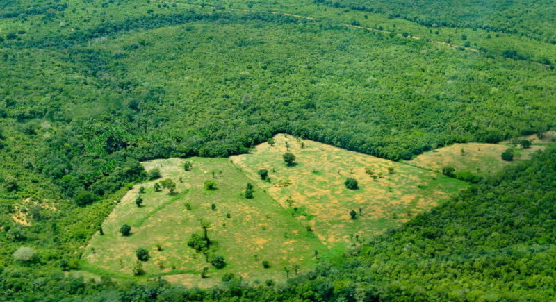 Política ambiental de Bolsonaro emperra acordo com União Europeia