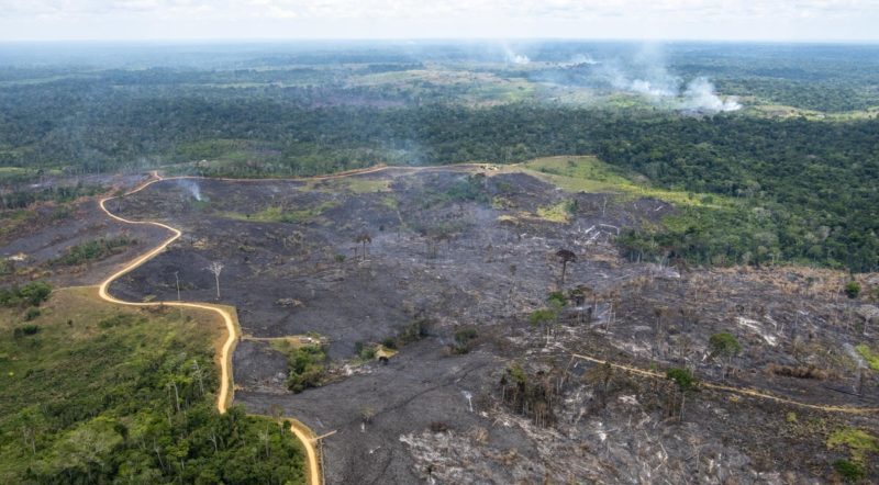 multas, crimes, ambientais, amazonia