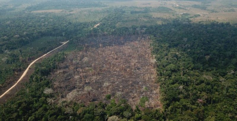 Amazônia
