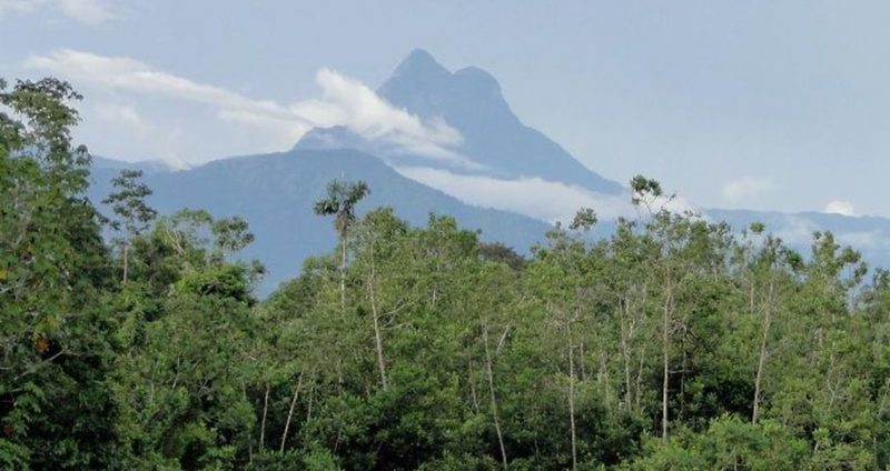 pico, neblina, yanomami, turismo, amazonas, santa isabel, rio negro