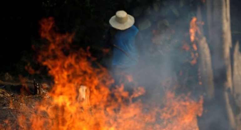 amazonia, economia, fake, news