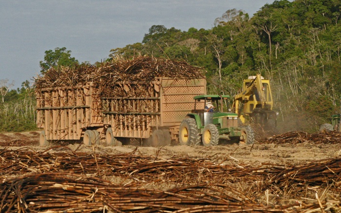 MPF Governo