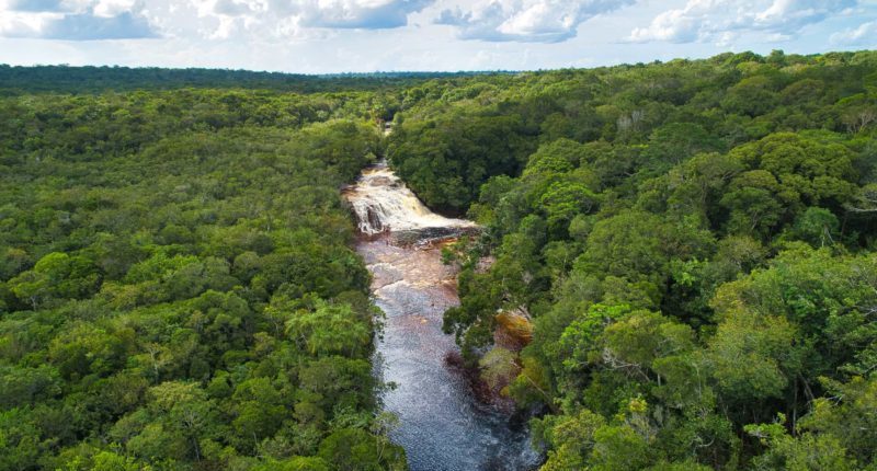 amazonia, turistico, imprensa, europeia, amazonas