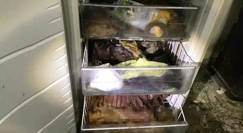policia, caes, congelados, freezer