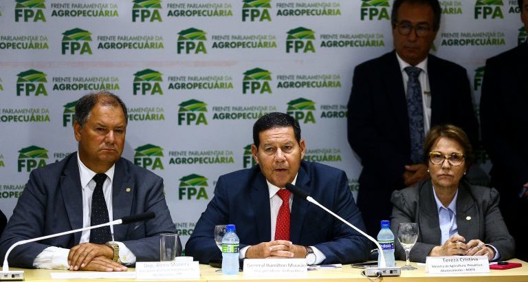 decreto, conselho, amazonia, forca, ambiental