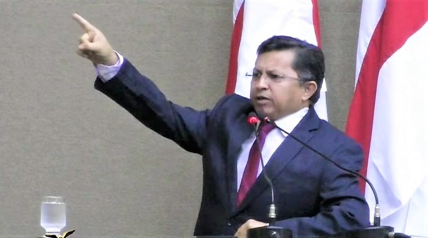 ALE-AM aprova PEC que permite manejo de jacarés no Amazonas