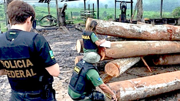 Empresário Amazonas