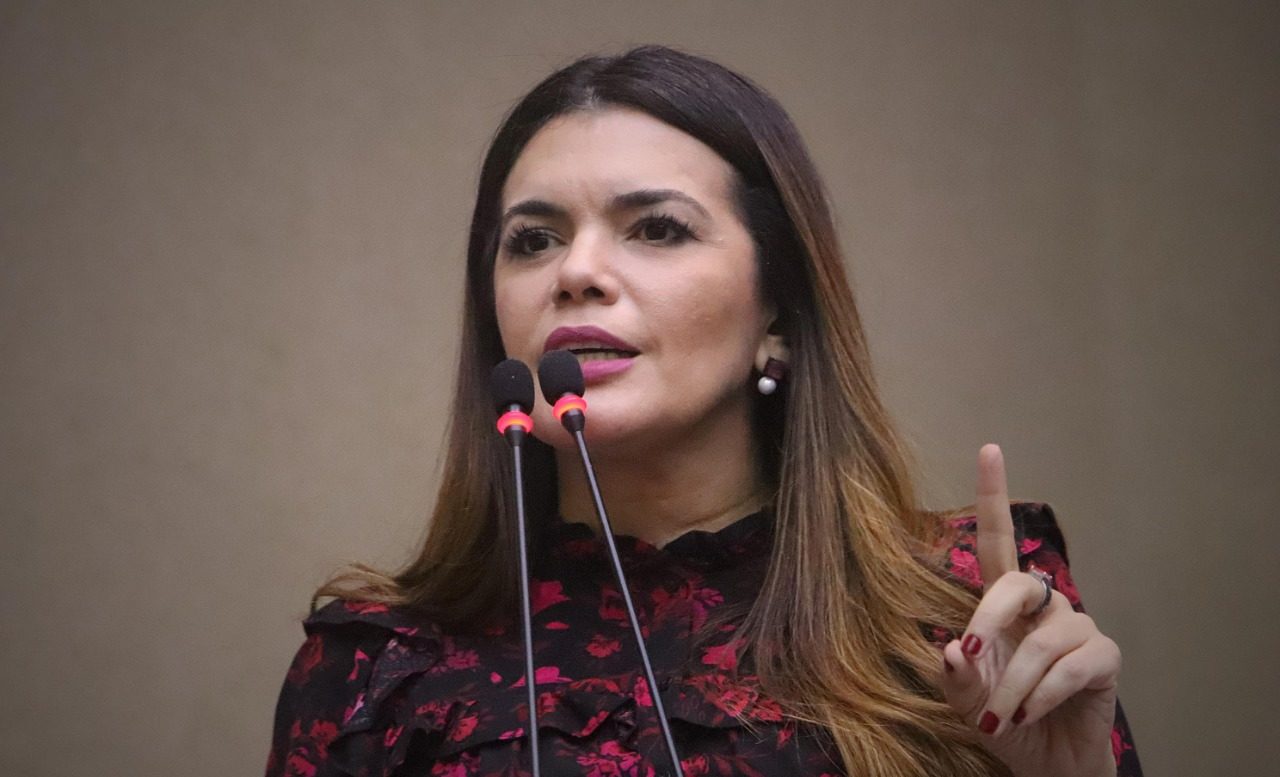 Deputada defende socorro do estado para turismo e eventos culturais