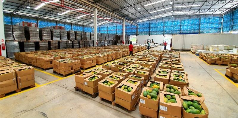 governo, produtos, regionais, familias