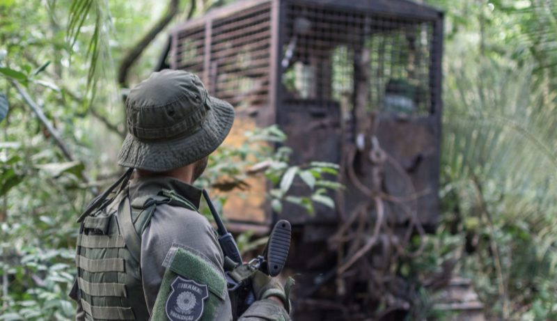 grilagem BR-319 PF grilagem órgãos públicos