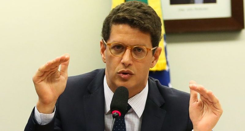 salles, bolsonaro, amoedo, novo
