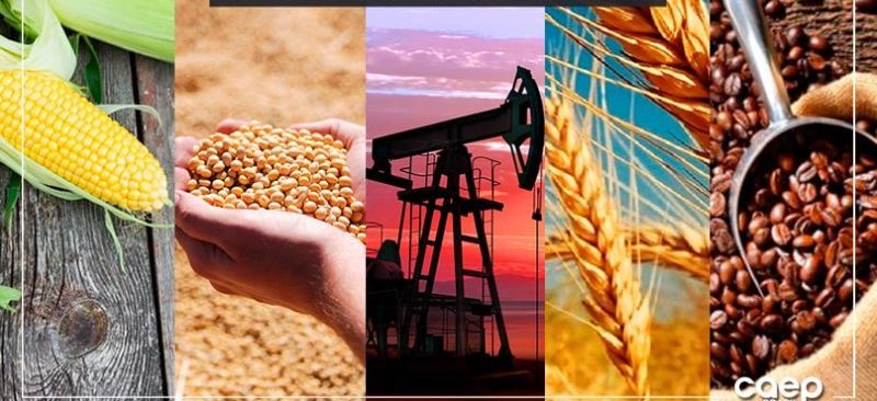 fgv, dominio, exportacoes, china