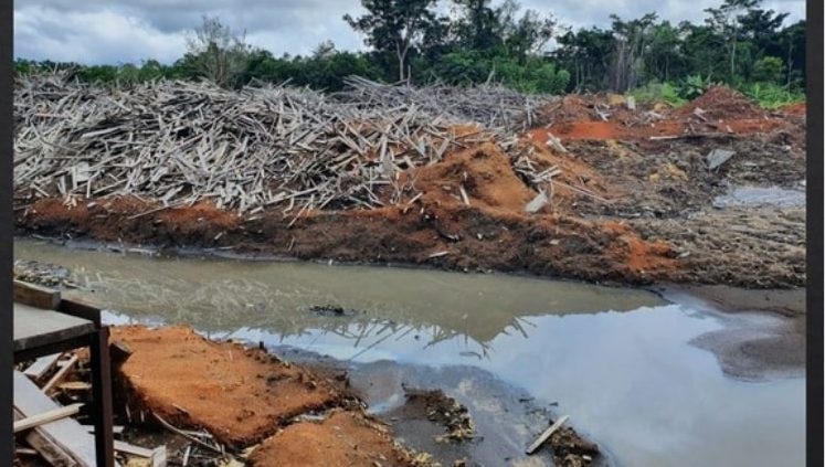 flagrante,pf, crime, ambiental