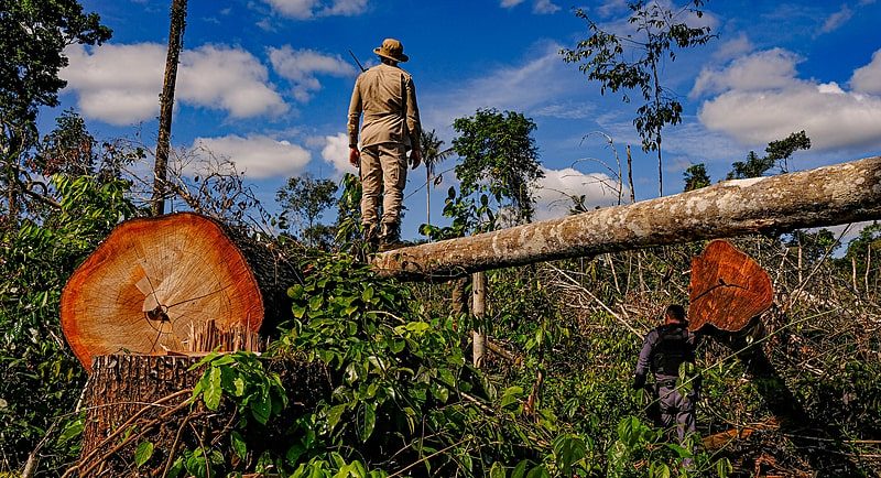 uniao, bloqueia, milhoes, desmatadores, amazonia