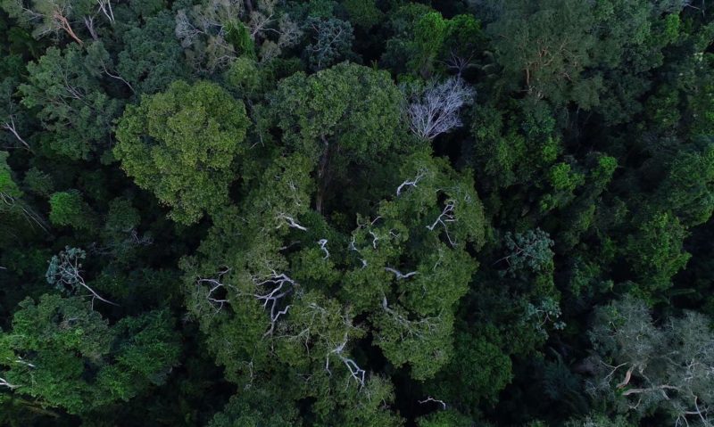 Mourão diz que desenvolvimento da Amazônia precisa da iniciativa privada