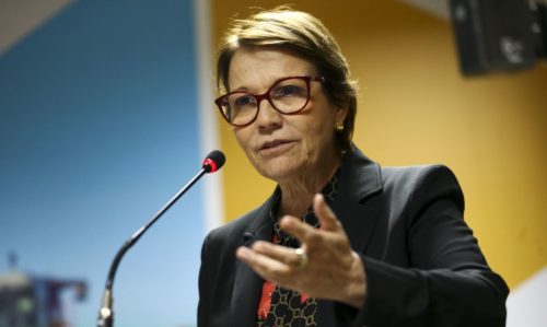 Ministra Tereza Cristina Foto: Agência Brasil