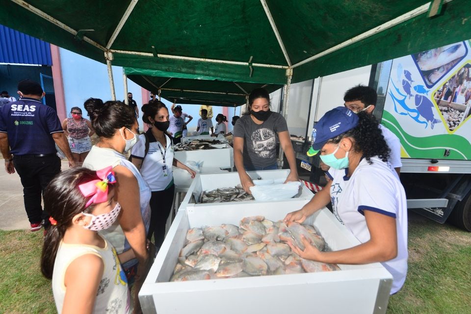 'Peixe no prato' leva 2 toneladas de pescado ao Armando Mendes