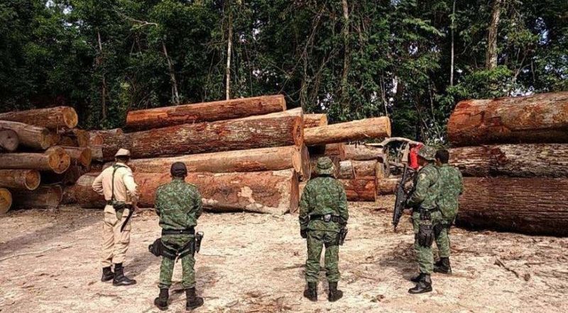 exercito, fracassa, fogo, amazonia