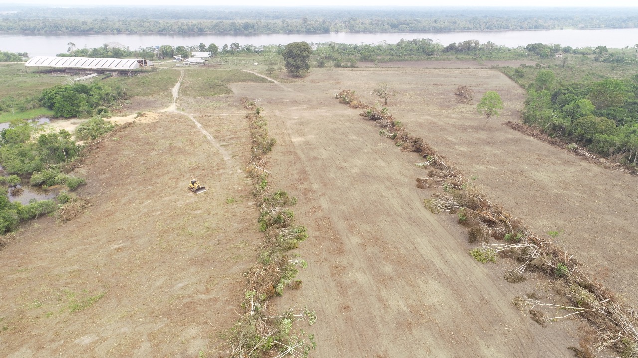 Mais de 500 hectares são preparados para o plantio pelo Maués Produz