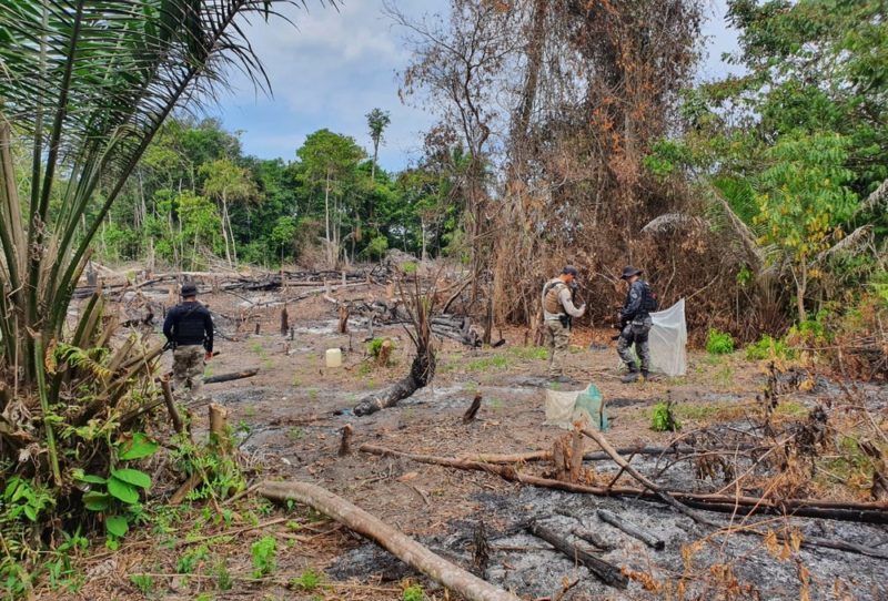 Ossada humana é achada pela PF em Nova Olinda do Norte