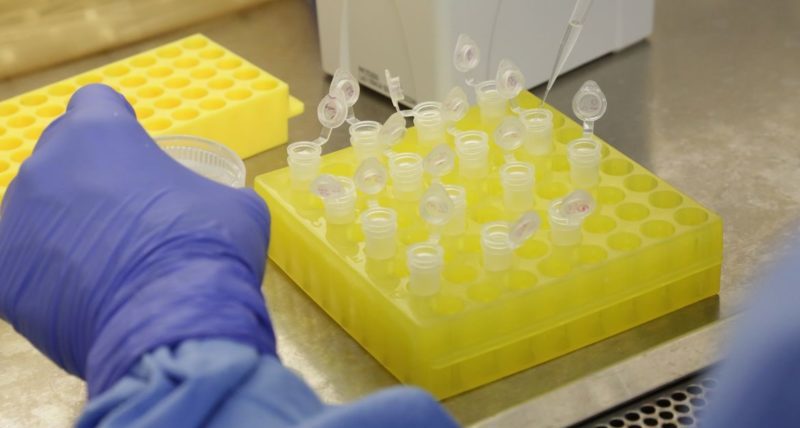 boletim, aumento, coronavirus