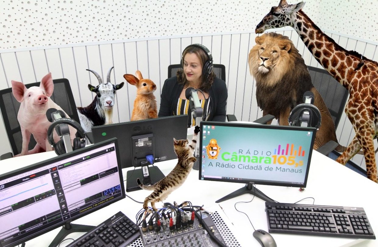 Dia das Crianças com a 'Festa da Bicharada' na Rádio Câmara