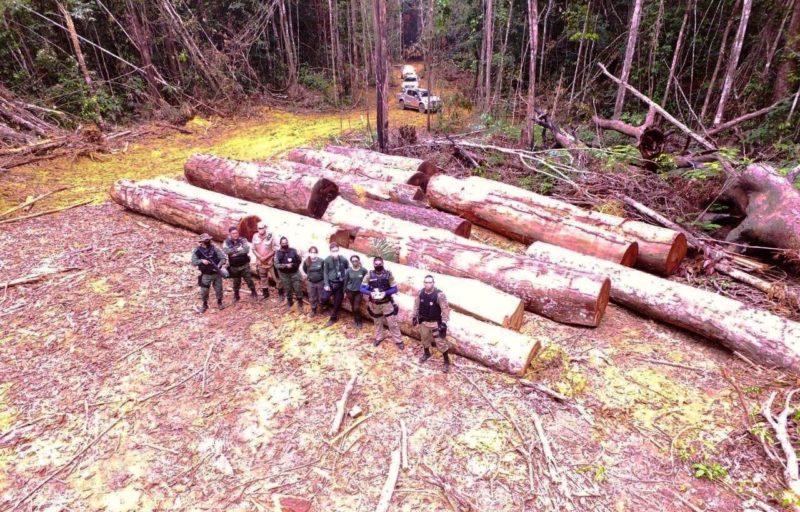 Operação embarga mais de 3,7 mil hectares de terras no sul do Amazonas