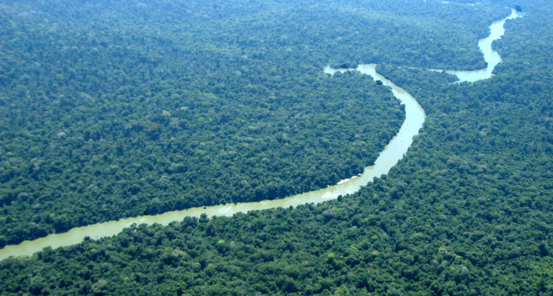 mourao, pantanal. conselho, amazonia