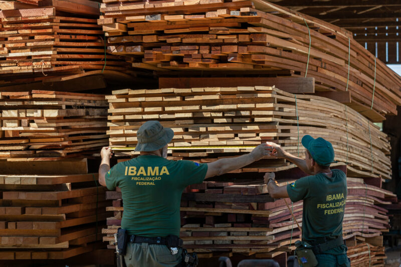 PF aponta esquema de propina no Amazonas para beneficiar madeireiras