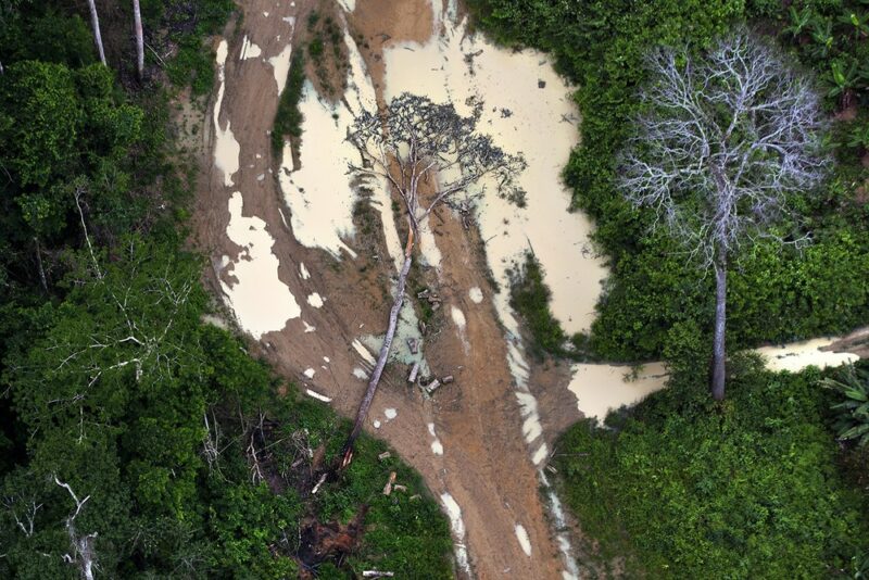 Desmatamento da Amazônia acena para novo recorde em fevereiro