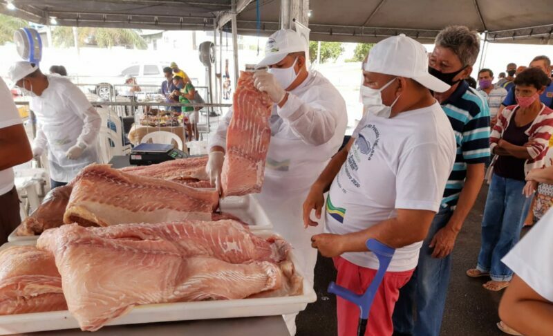 feira, pescado, indigena, pirarucu