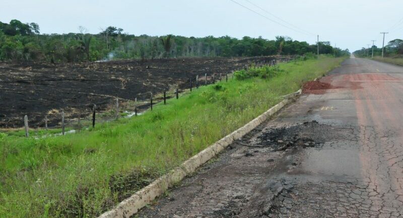 arco, desmatamento, amazonia, am