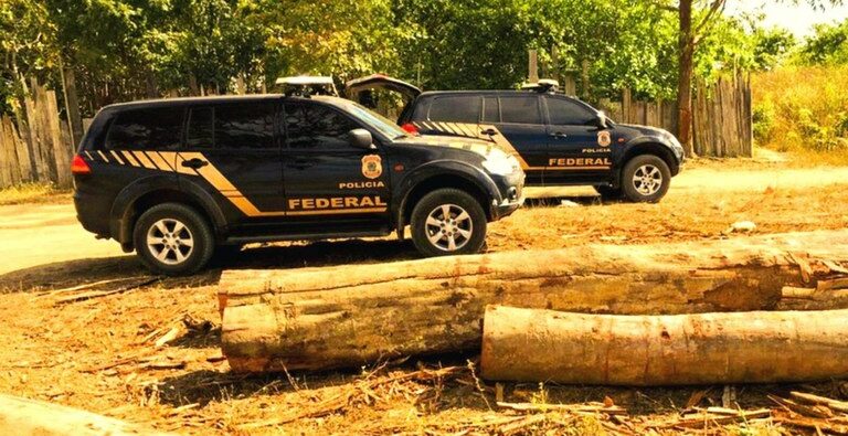 estudo, narcotrafico, ambiental, amazonia