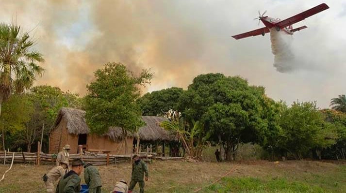 queimadas, pantanal, criminosas, camara