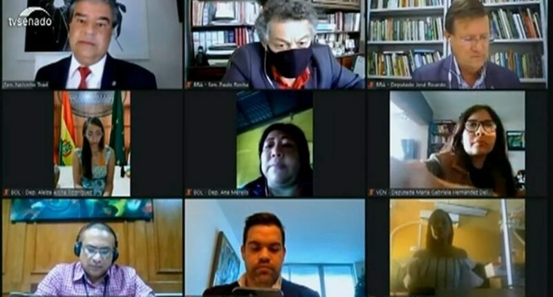 parlamento, amazonico, bancada, amazonense