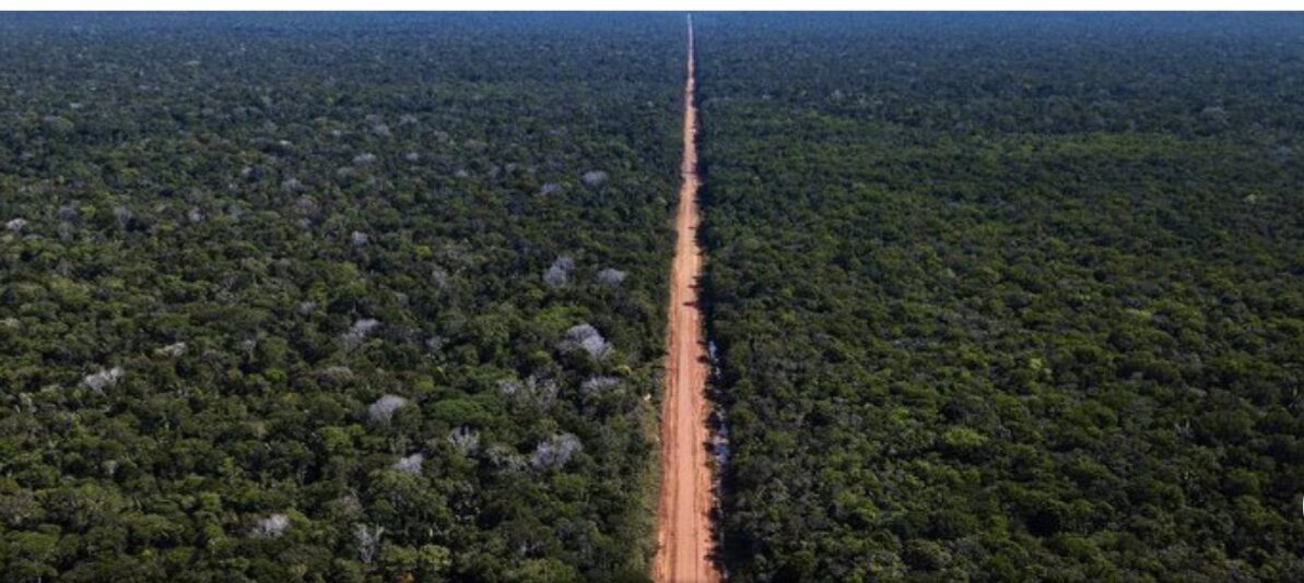 Bolsonaro impõe restrição a cargas e passageiros na BR-319 enlameada
