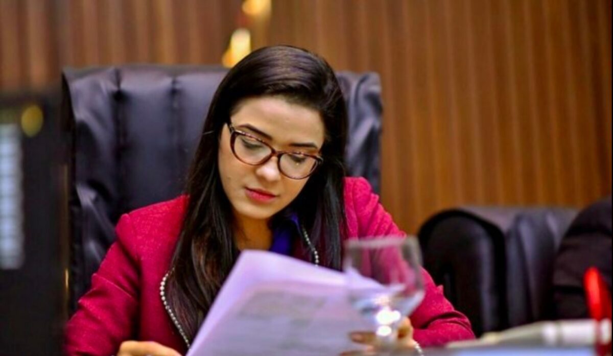 Deputada sugere criação de programa