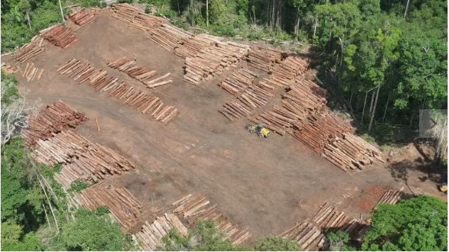 PF vai processar militares que deixarem operação contra crime ambiental