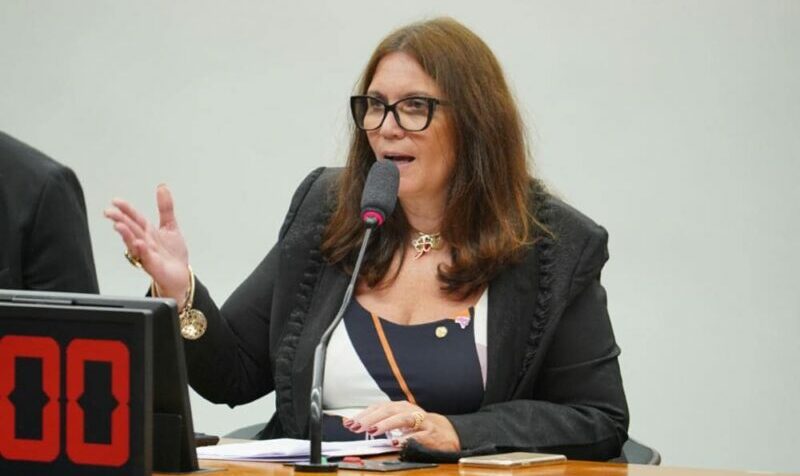 ccj, camara, decisoes, monocraticas, stf