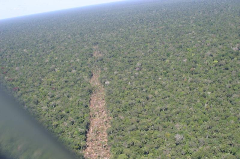 Fundos estrangeiros acusam governo de não defender a Amazônia